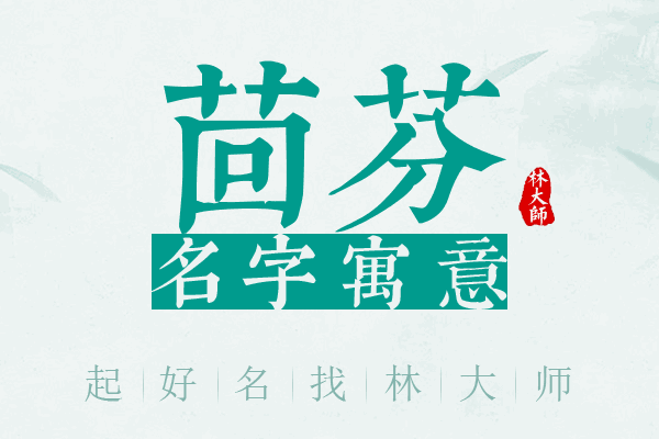 茴芬名字寓意