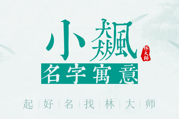 小飙名字寓意