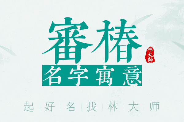 审椿名字寓意