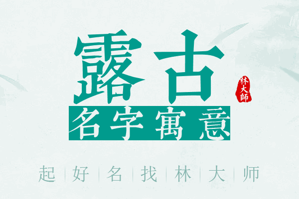 露古名字寓意