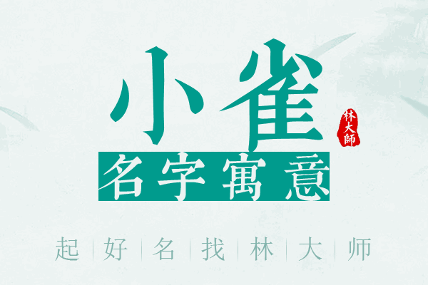 小雀名字寓意