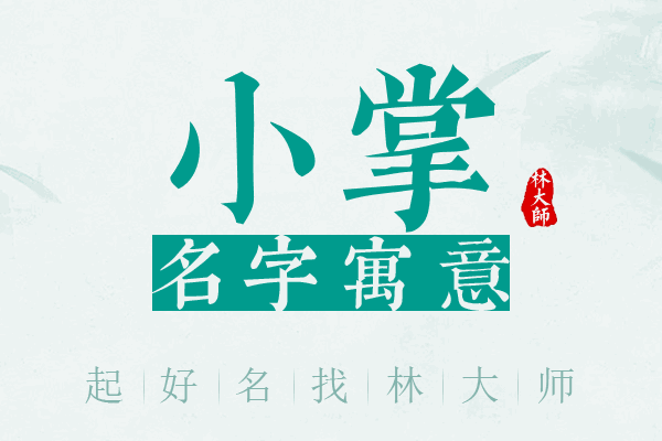 小掌名字寓意