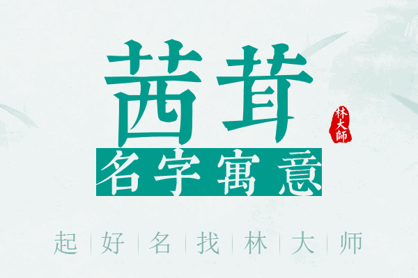 茜茸名字寓意