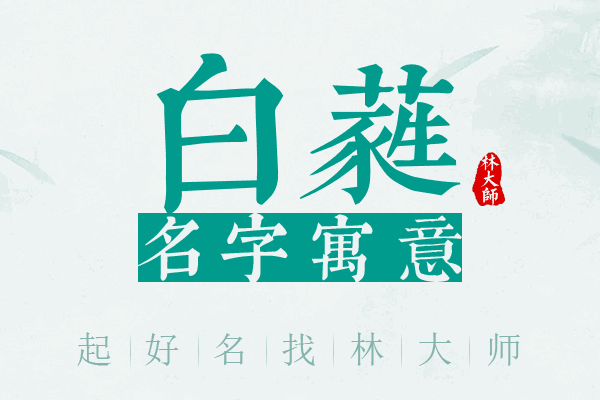 白蕤名字寓意