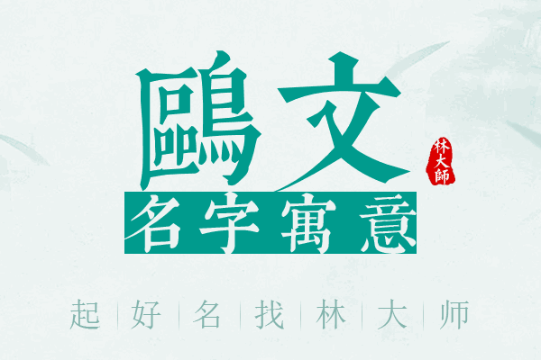 鸥文名字寓意