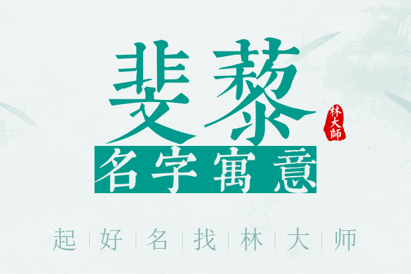 斐藜名字寓意