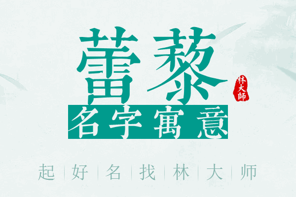 蕾藜名字寓意