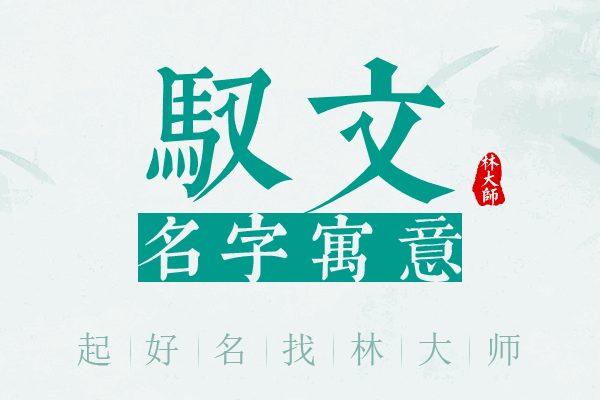 驭文名字寓意