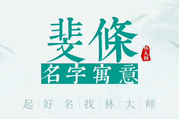 斐条名字寓意