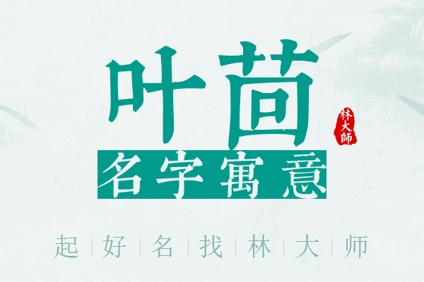 叶茴名字寓意