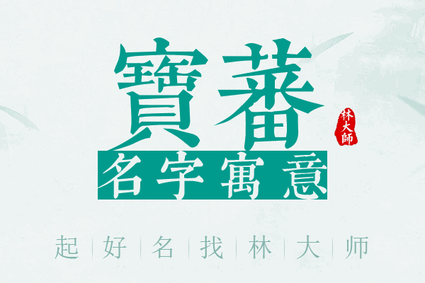 宝蕃名字寓意