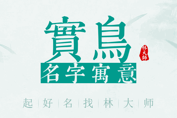 实鸟名字寓意