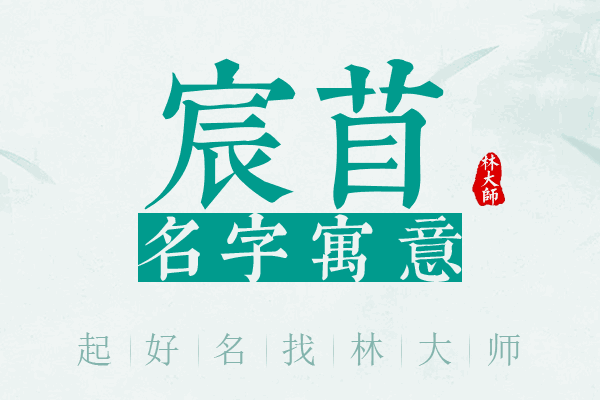 宸苜名字寓意