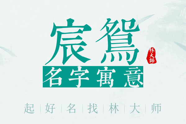 宸鸳名字寓意