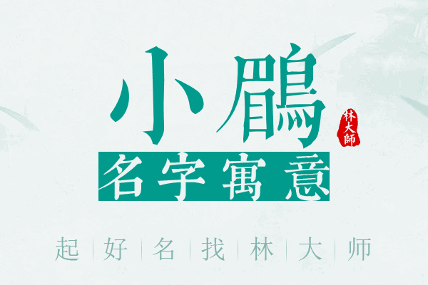 小鹛名字寓意