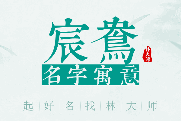 宸鸯名字寓意