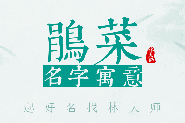 鹃菜名字寓意