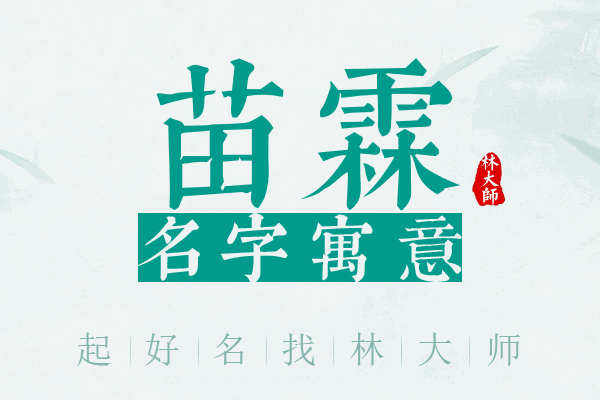 苗霖名字寓意