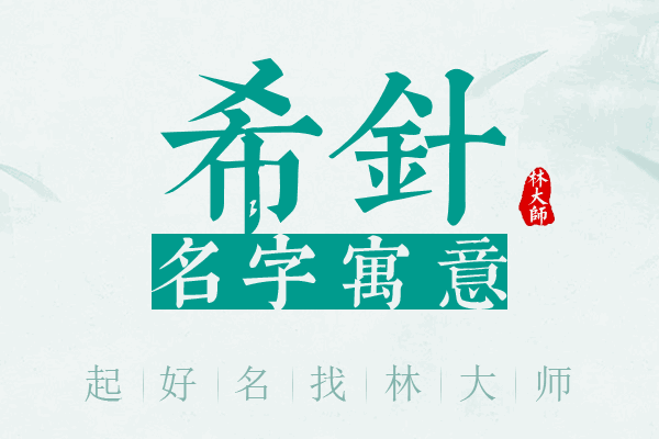 希针名字寓意