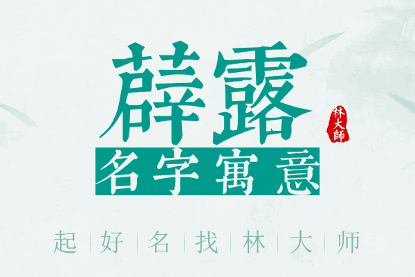 薜露名字寓意