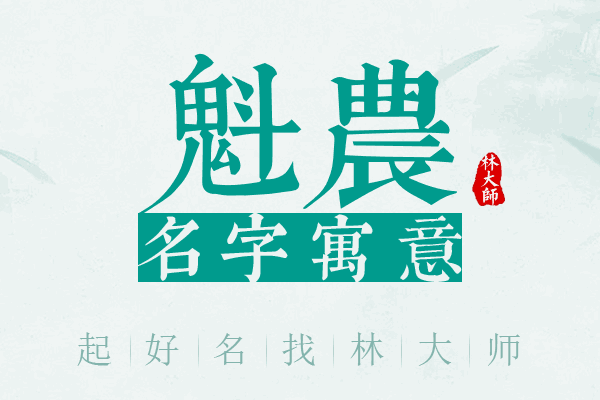 魁农名字寓意