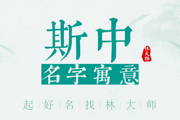 斯中名字寓意