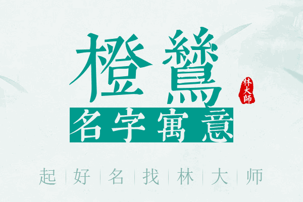 橙鸶名字寓意