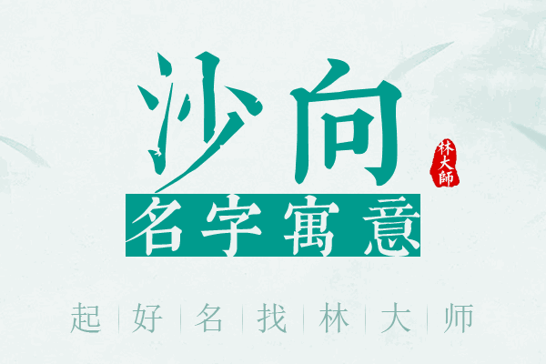 沙向名字寓意