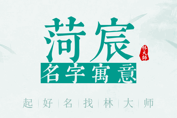 菏宸名字寓意